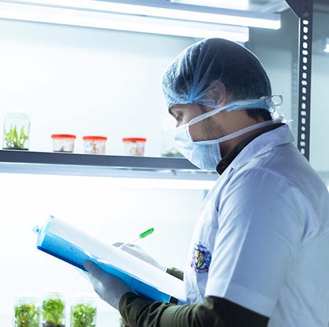 Researcher in laboratory